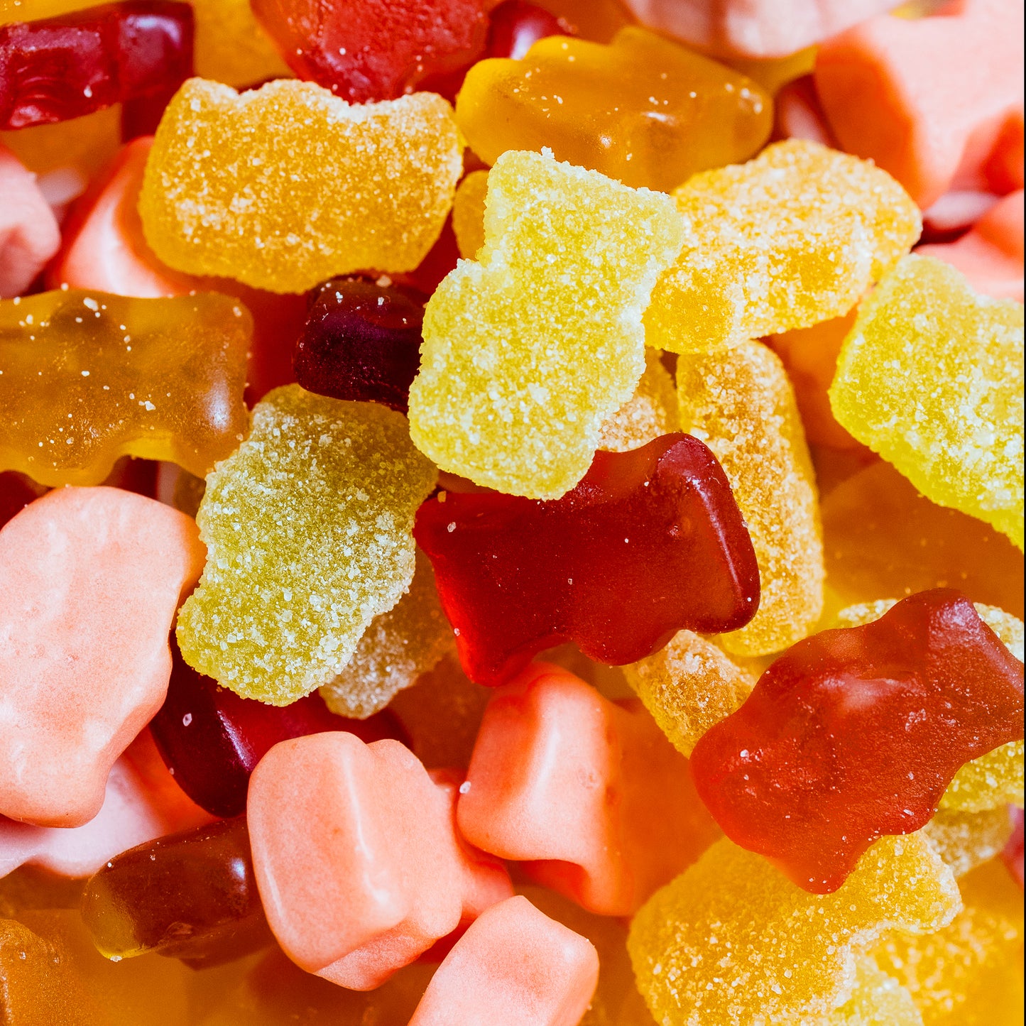 Variety Pack (Santa Monica 4oz, Venice Beach 4oz, Malibu 3.5oz)