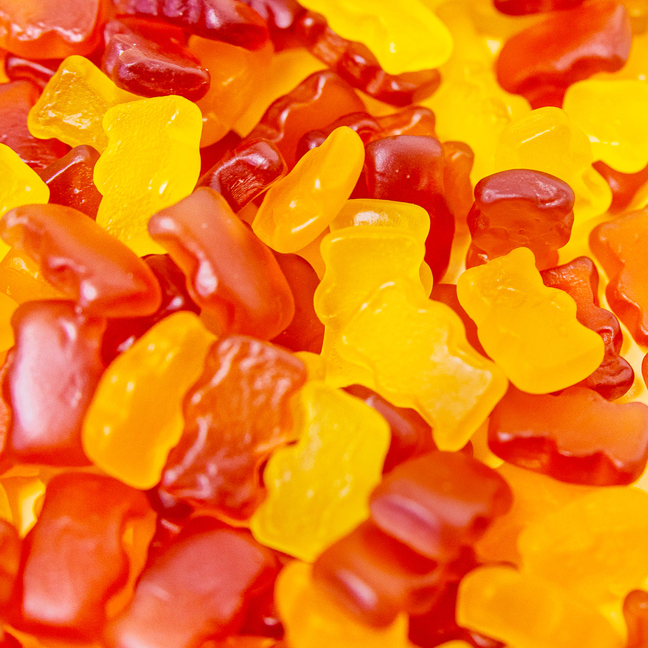 Santa Monica Organic Gummies (4 oz.)